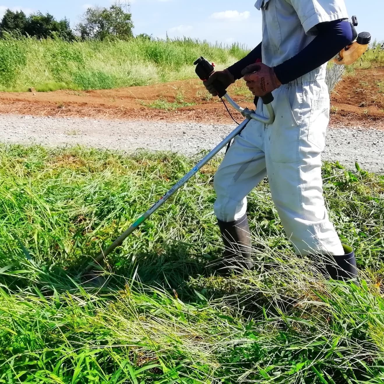 草刈り 安城市 | 安城市で草刈りならお庭の窓口安城市