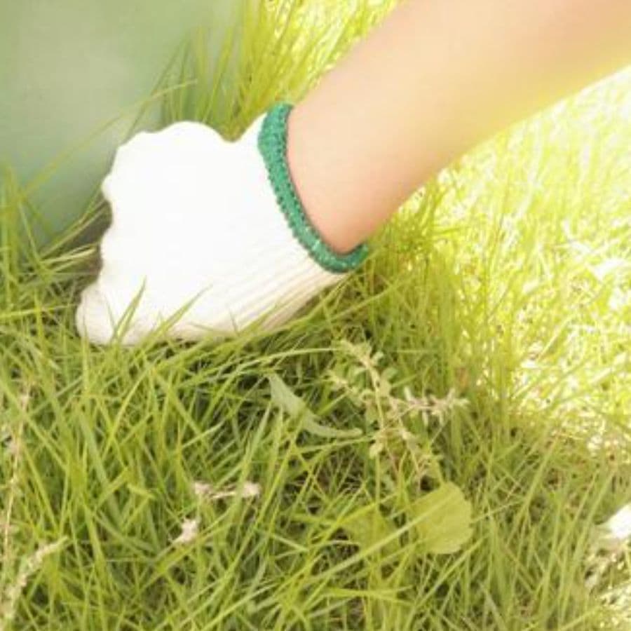 草取り 安城市 | 安城市で草取りならお庭の窓口安城市