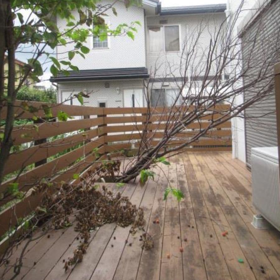倒木撤去 安城市 | 安城市で庭木の倒木撤去ならお庭の窓口安城市