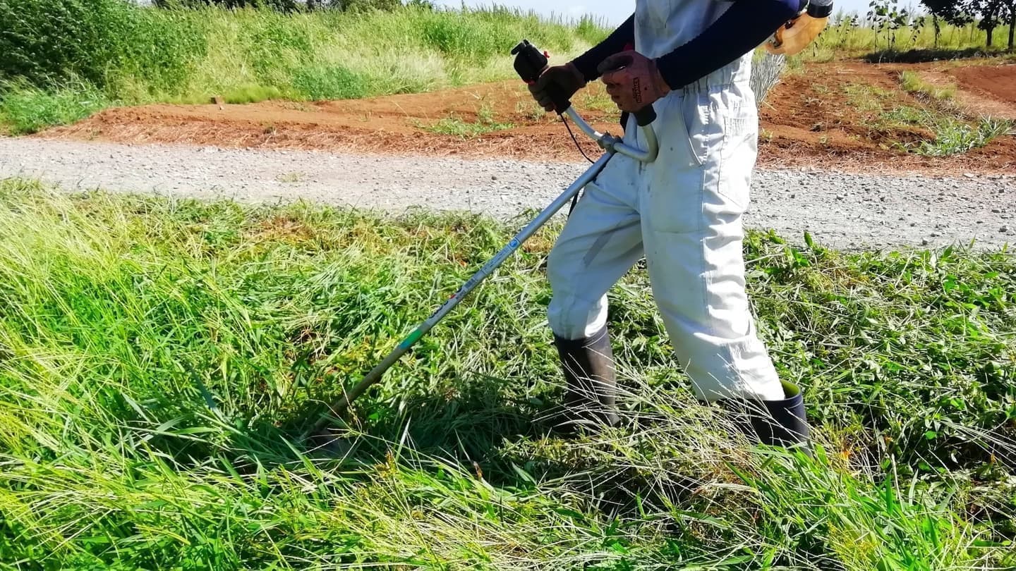 草刈り 安城市 | 安城市で草刈りならお庭の窓口安城市