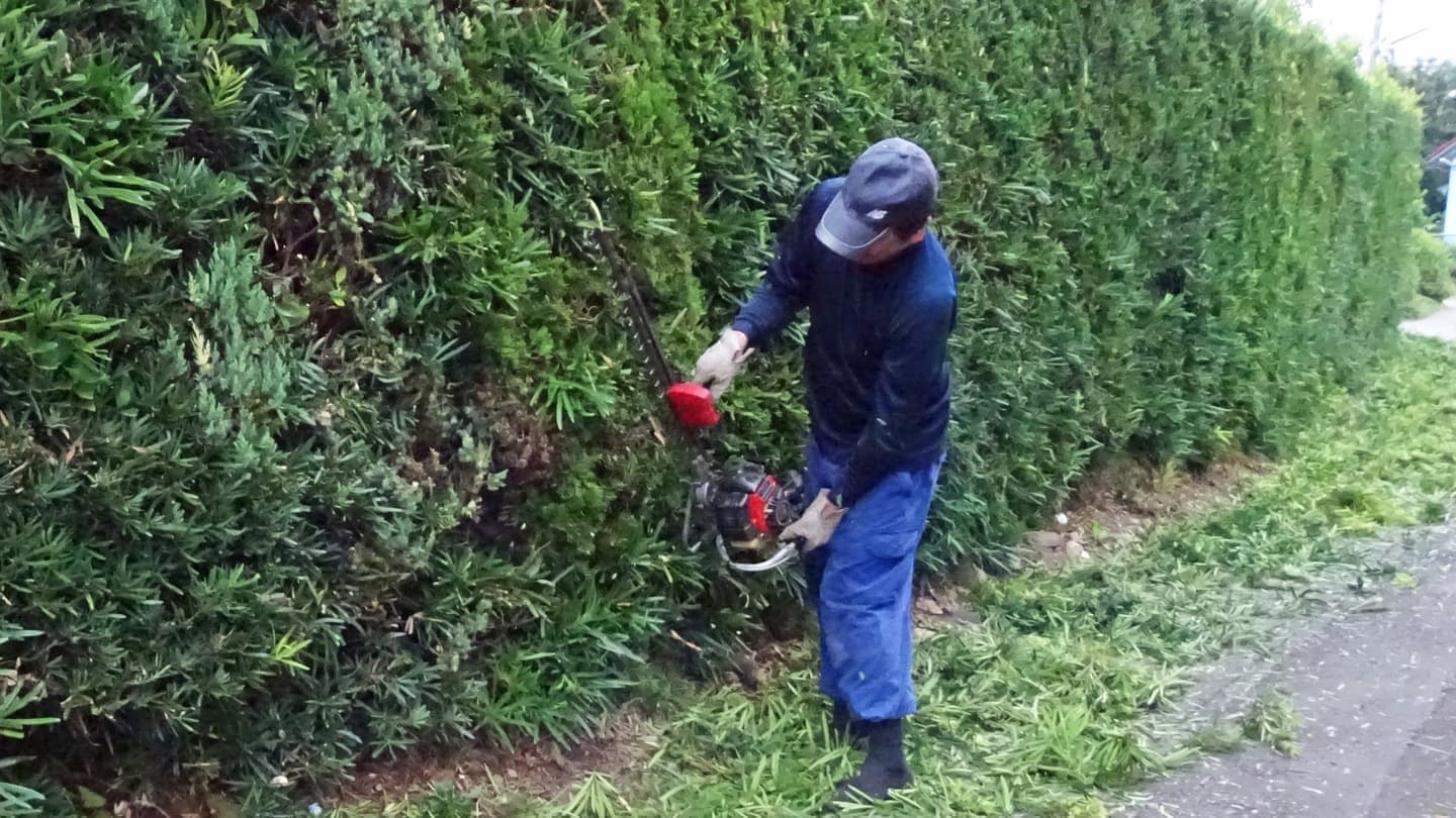 生垣剪定 安城市 | 安城市で生垣剪定ならお庭の窓口安城市