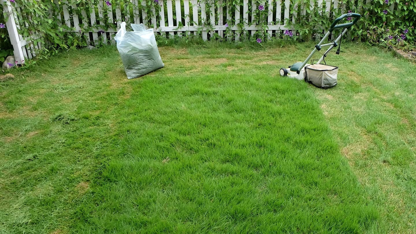 芝生の手入れ 安城市 | 安城市で芝生の手入れならお庭の窓口安城市