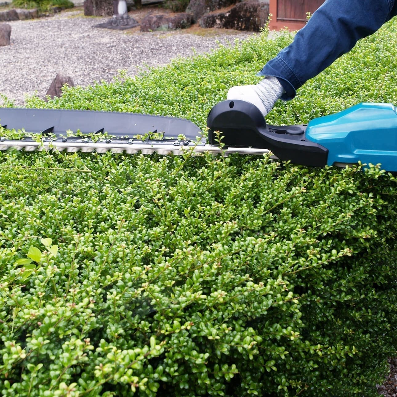 植込み剪定 安城市 | 安城市で庭木の植込み剪定ならお庭の窓口安城市