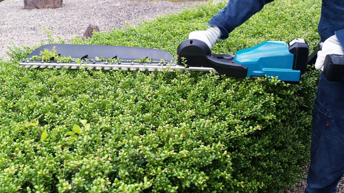 植込み剪定 安城市 | 安城市で植込み剪定ならお庭の窓口安城市