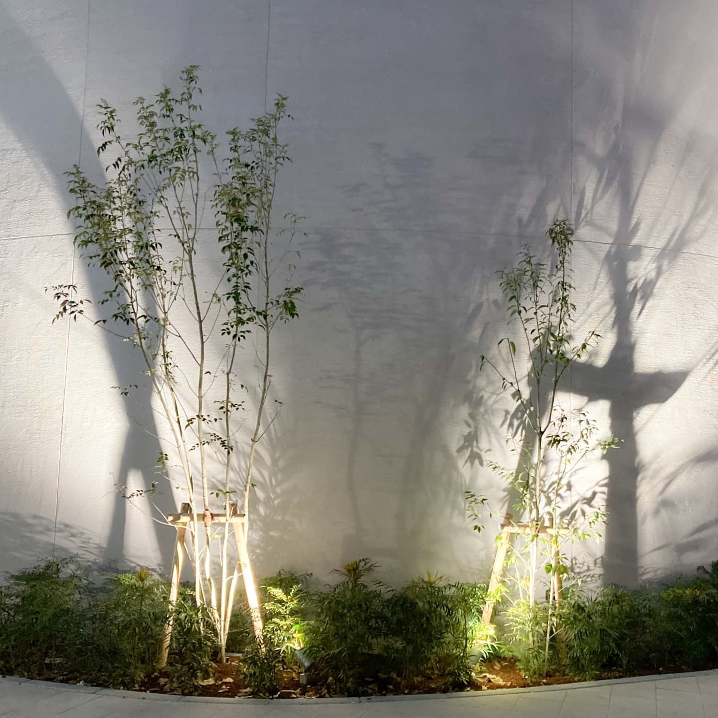 庭木の植栽 安城市 | 安城市で庭木の植栽ならお庭の窓口安城市