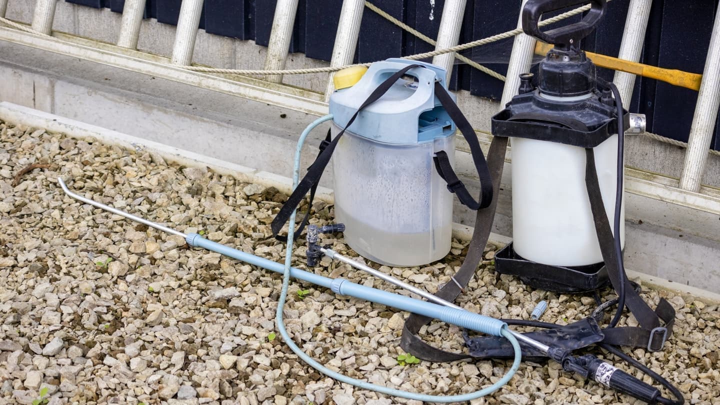 庭木の消毒・害虫対策 安城市 | 安城市で庭木の消毒・害虫対策ならお庭の窓口安城市