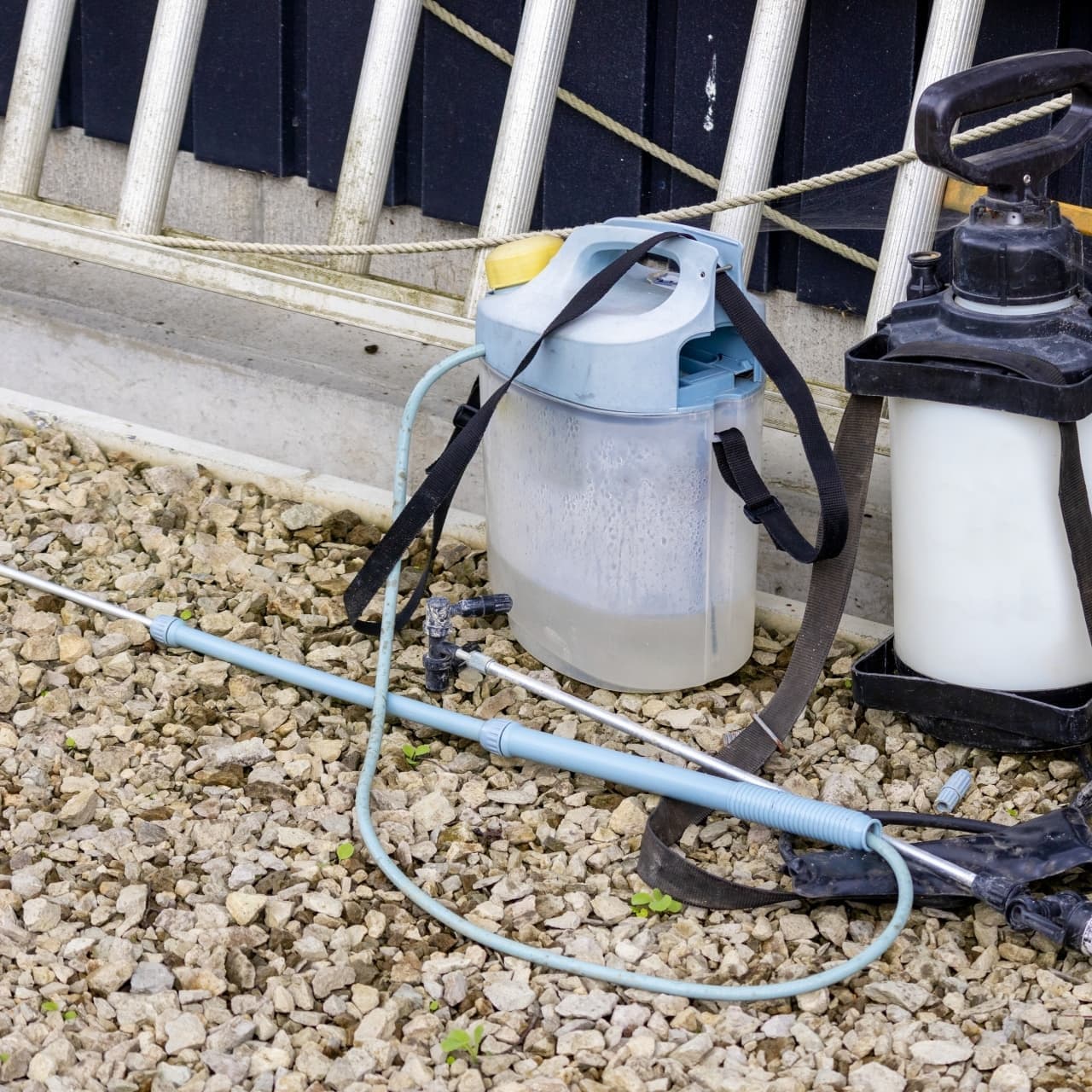 庭木の消毒・害虫対策 安城市 | 安城市で庭木の消毒・害虫対策ならお庭の窓口安城市